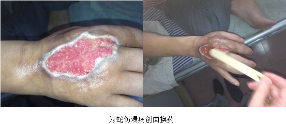 bevictor伟德官网-韦德官方网站