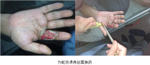 bevictor伟德官网-韦德官方网站