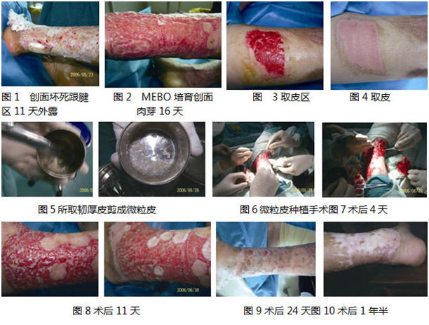 bevictor伟德官网-韦德官方网站