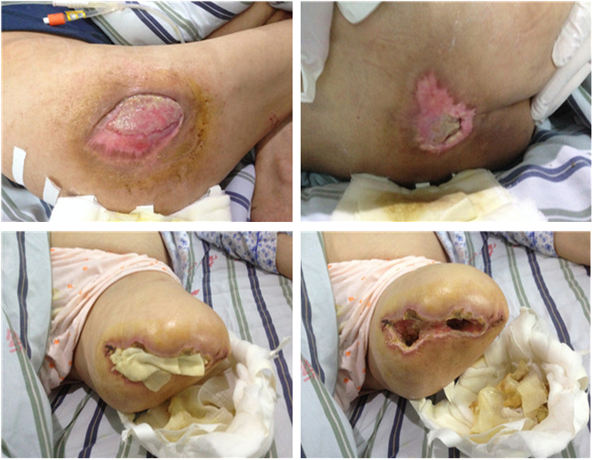 bevictor伟德官网-韦德官方网站