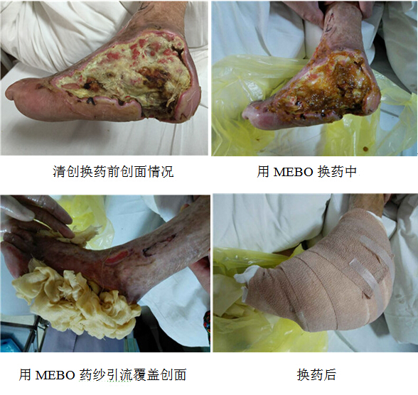 bevictor伟德官网-韦德官方网站