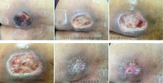 bevictor伟德官网-韦德官方网站