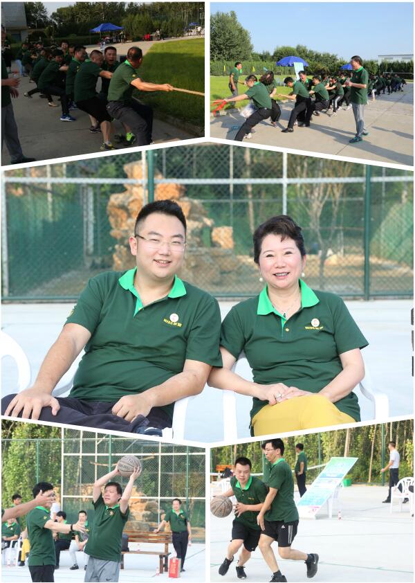 bevictor伟德官网-韦德官方网站